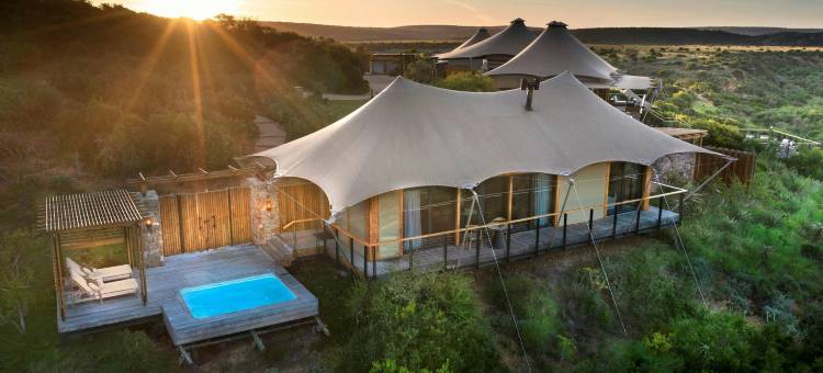 沙姆瓦里私人野生动物保护区(Shamwari Private Game Reserve)图片