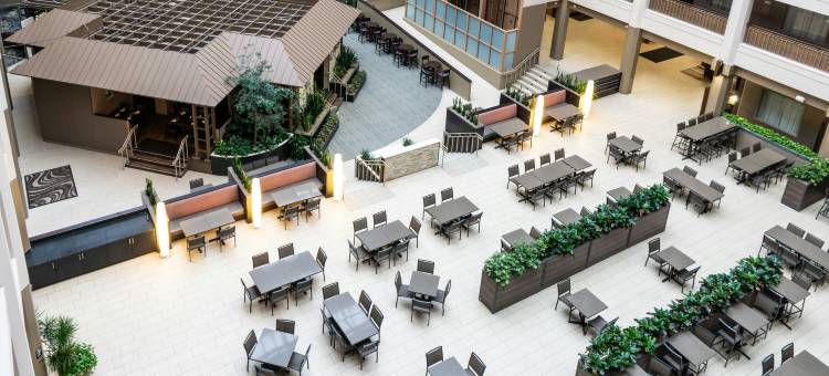 芝加哥北岸迪尔菲尔德希尔顿安泊套房酒店(Embassy Suites by Hilton Chicago North Shore Deerfield)图片