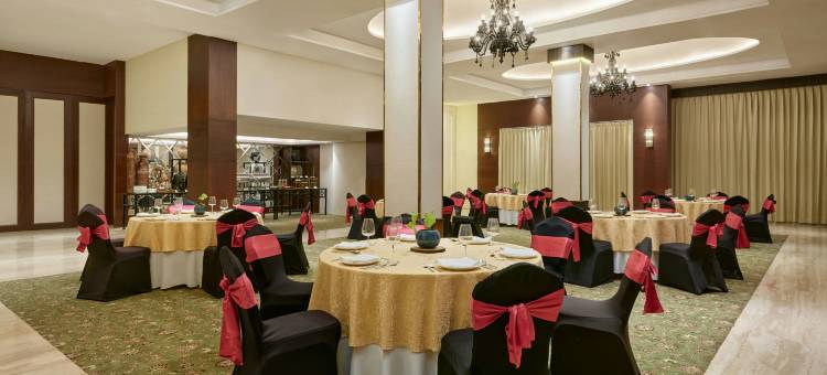 乌代布尔芬恩酒店，Series万豪国际(The Fern Residency Udaipur, Series by Marriott)图片