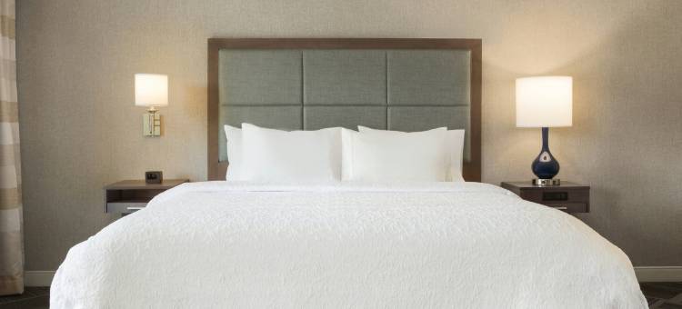 曼彻斯特 - 贝德福德希尔顿欢朋套房酒店(Hampton Inn & Suites Manchester-Bedford)图片