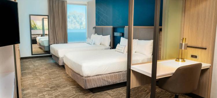 纽瓦克弗里蒙特SpringHill Suites酒店(SpringHill Suites Newark Fremont)图片