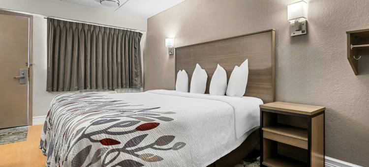坦帕集市广场 红顶酒店(Red Roof Inn Tampa Fairgrounds - Casino)图片
