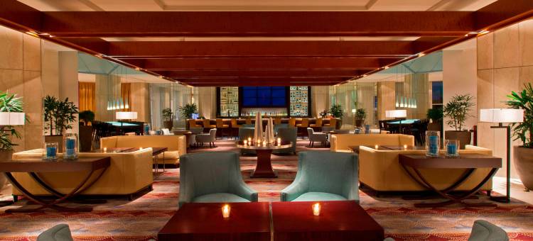 圣地亚哥喜来登会议中心酒店(Sheraton Santiago Hotel and Convention Center)图片
