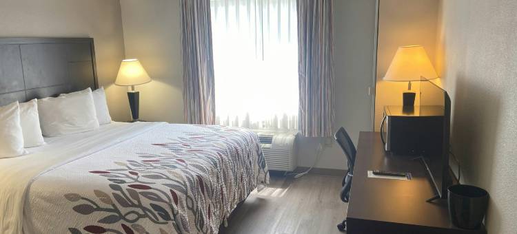 红屋顶酒店-匹兹堡麦克奈特路(Red Roof Inn Pittsburgh - McKnight Rd)图片