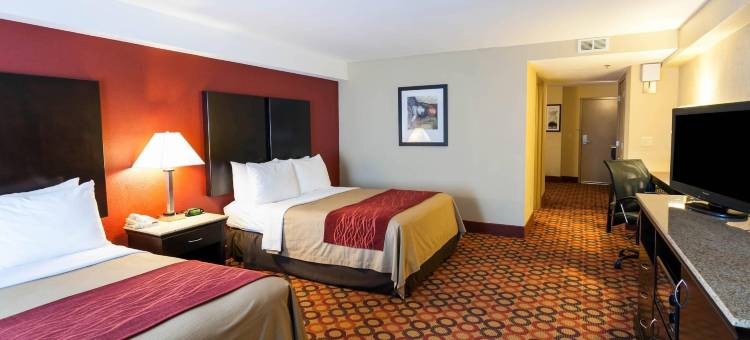 史特斯维尔-穆尔斯维尔舒适套房酒店(Comfort Inn & Suites Statesville - Mooresville)图片