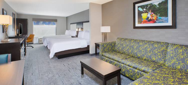 安阿伯西智选假日套房酒店(Holiday Inn Express & Suites ANN ARBOR WEST by IHG)图片