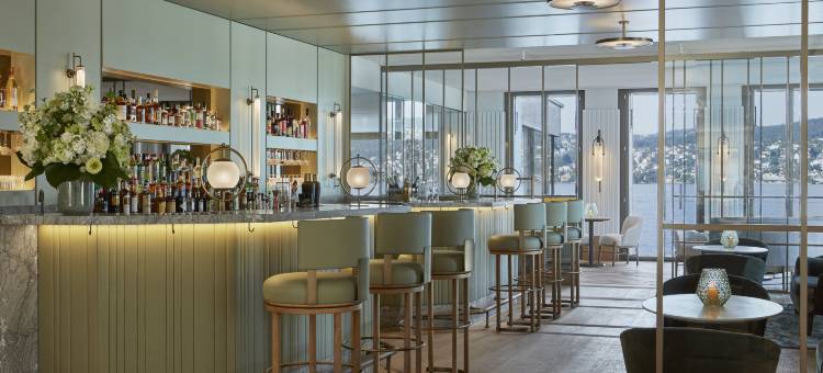 亚历克斯湖苏黎世 - 生活方式酒店和套房(Alex Lake Zürich - Lifestyle Hotel and Suites)图片