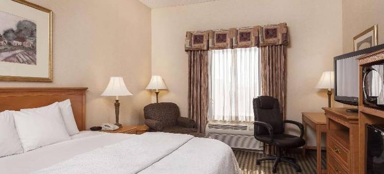 希尔顿欢朋套房酒店-艾迪生(Hampton Inn & Suites Addison)图片