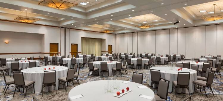 国际机场DFW北外界希尔顿安泊酒店(Embassy Suites by Hilton Grapevine DFW Airport North)图片