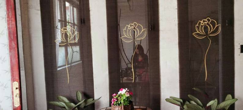 白洋淀安之若宿图片