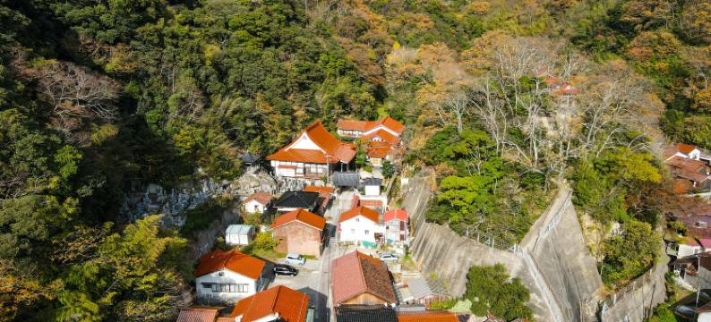 灯旅馆(Tomoru)图片