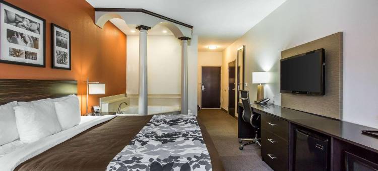 拉伯克舒眠套房酒店(Sleep Inn & Suites)图片