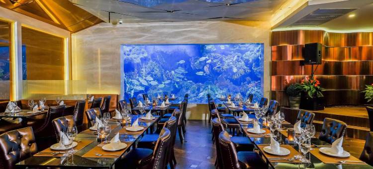 亚玛兰塔酒店(Amaranta Hotel)图片