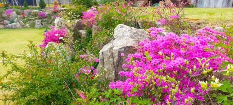 荣州快乐旅馆(Yeongju Happy Pension)图片