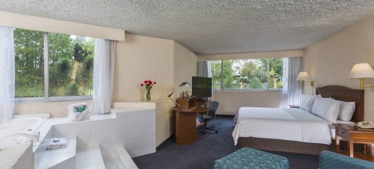 帕丘卡伽玛酒店(Gamma Pachuca)图片