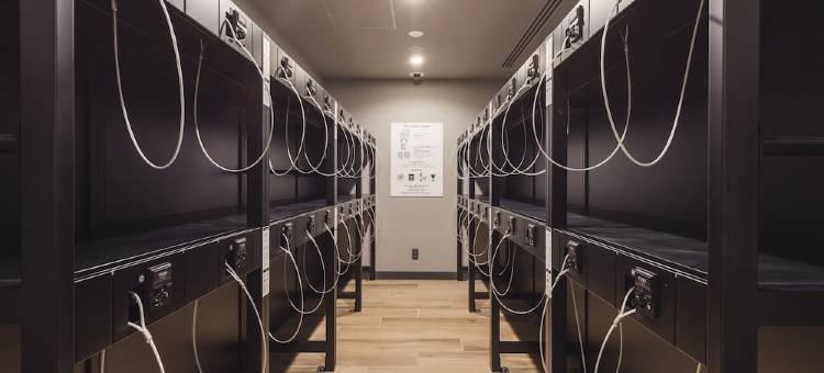 京都清水五条相铁FRESA INN(Sotetsu Fresa Inn Kyoto-Kiyomizu Gojo)图片