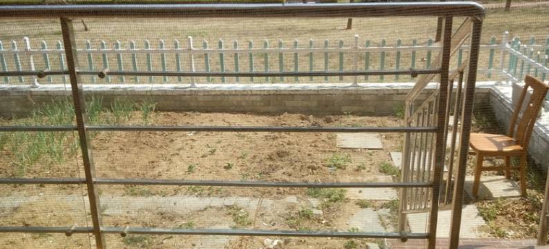 海王之家公寓(莲花山路分店)图片