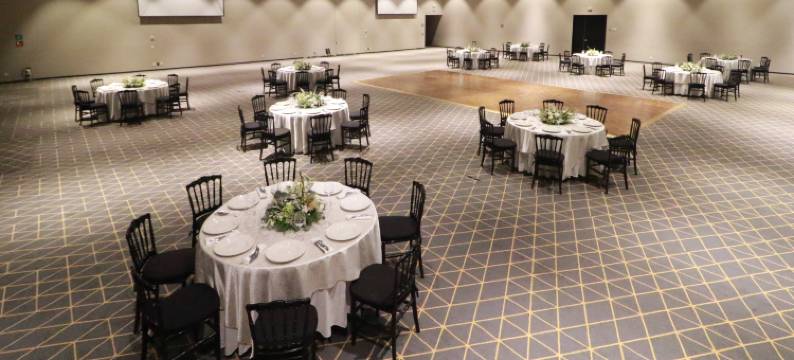 Holiday Inn 圣路易斯波托西 - 堂吉诃德(Holiday Inn SAN LUIS POTOSI-QUIJOTE by IHG)图片