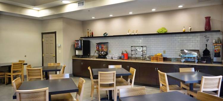 坦帕布兰登丽怡酒店(Country Inn & Suites by Radisson, Tampa/Brandon, FL)图片
