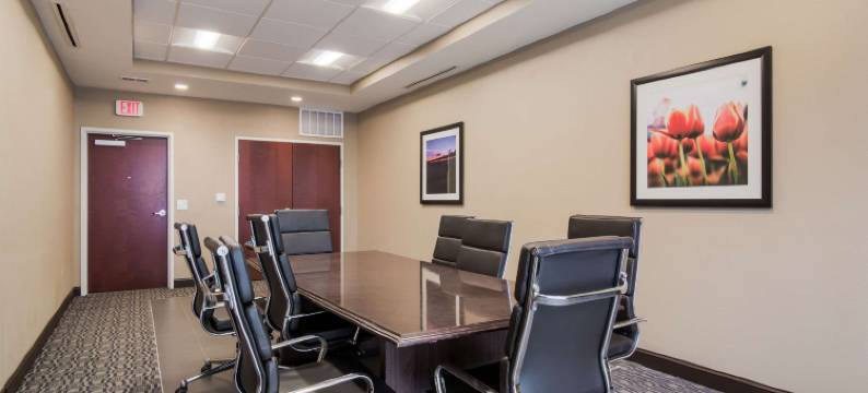 舒适套房酒店(Comfort Inn & Suites)图片