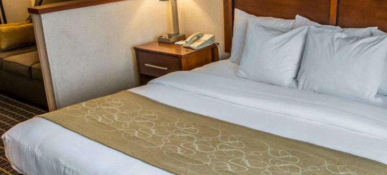 波特兰西南舒适套房酒店(Comfort Suites Portland Southwest)图片