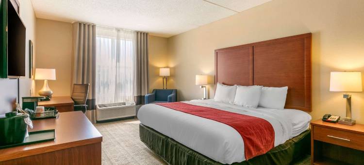 纳什维尔富兰克林冷泉舒适套房酒店(Comfort Inn & Suites Nashville Franklin Cool Springs)图片