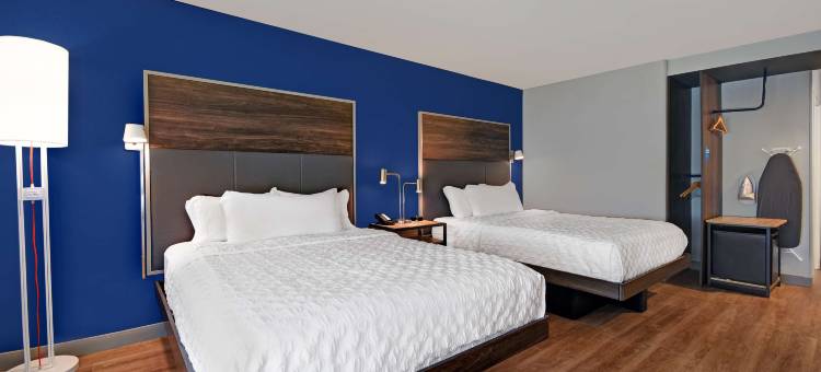 门罗希尔顿Tru酒店(Tru by Hilton Monroe MI)图片