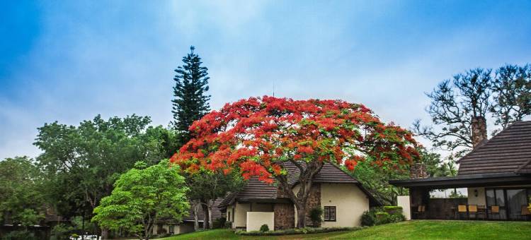 萨比河太阳度假村(Sabi River Sun Resort)图片