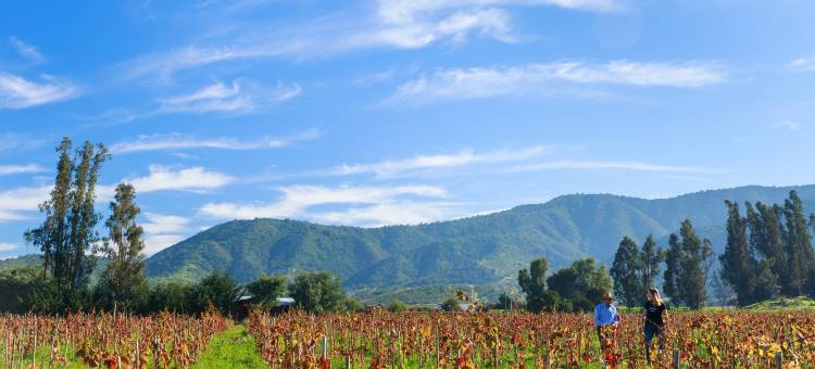 圣地亚哥机场航站楼假日酒店(Holiday Inn Santiago - Airport Terminal)图片