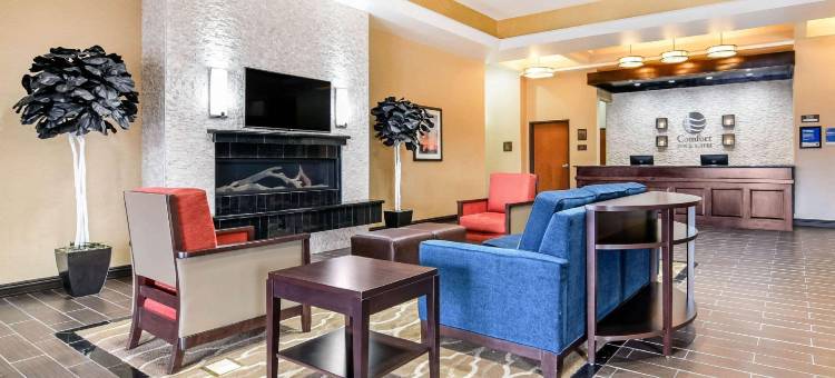 独立舒适套房酒店(Comfort Inn & Suites Independence)图片