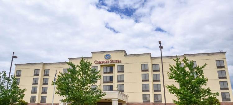 北湖舒适套房酒店(Comfort Suites Northlake)图片