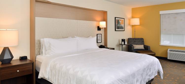 Holiday Inn & Suites 奥佛兰公园CONV点击率(Holiday Inn & Suites Overland Park-Conv Ctr)图片