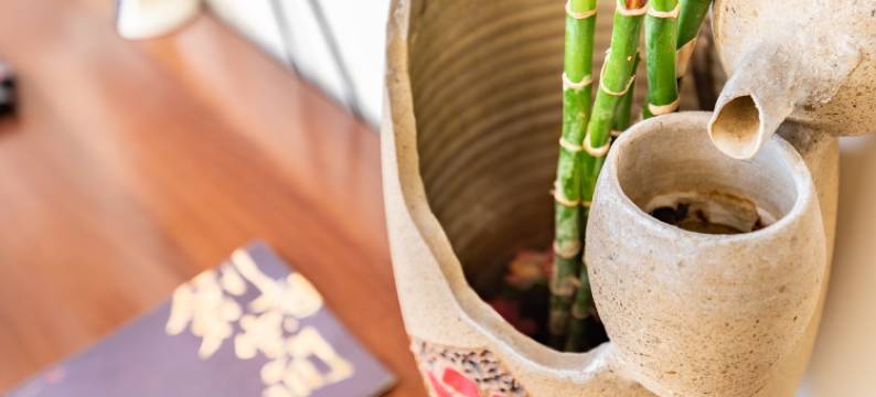 一帆风顺四季民宿(中津大道1号分店)图片