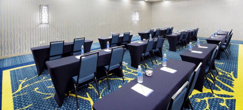 希尔顿花园旅馆-朗维尤(Hilton Garden Inn Longview)图片