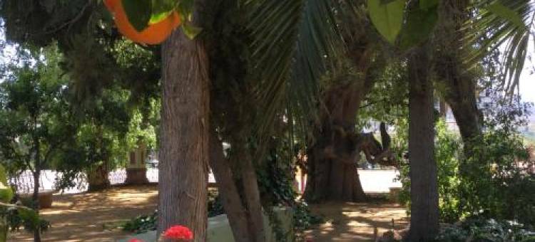 Finca la Florida de San Antonio图片