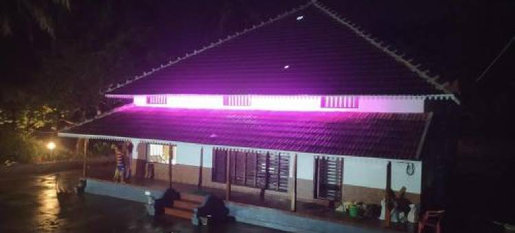 Jasmine Heritage图片