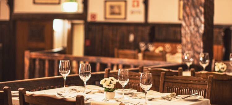 萨纳里克斯酒店(SANA Rex Hotel)图片