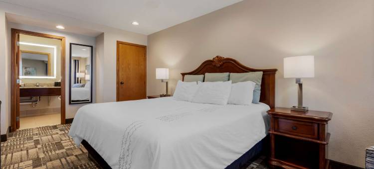 迪比克贝斯特韦斯特优质酒店暨会议中心(Best Western Plus Dubuque Hotel  Conference Center)图片