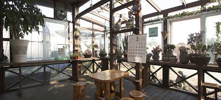 济州特乌安奈旅馆(Jeju Tteul Anae Pension)图片