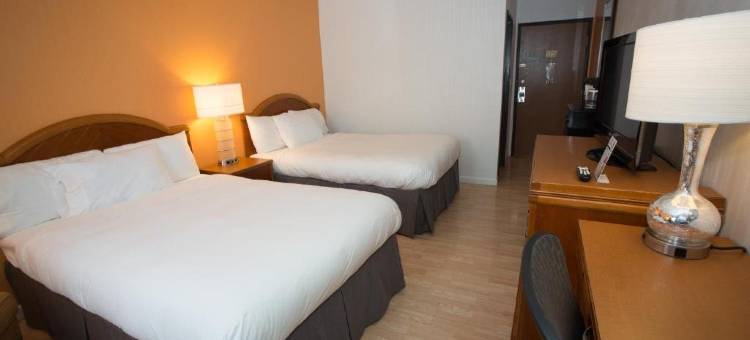 艾莱恩斯伊克诺旅馆(Econo Lodge Alliance)图片