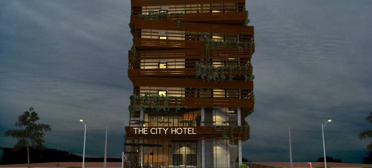 城市酒店(The City Hotel)图片