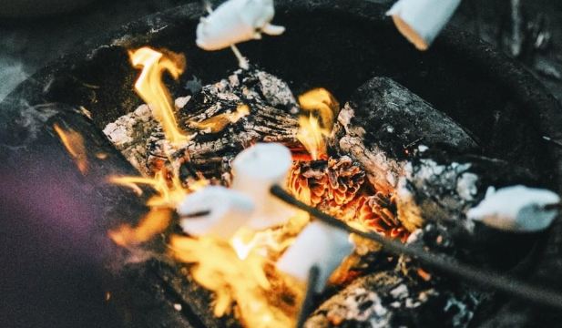 Ruschmeyers #3 - Queen Hotel Overview