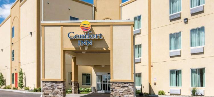 阿巴拉钦/宾汉顿西 17 号公路舒适酒店(Comfort Inn Apalachin / Binghamton W Route 17)图片
