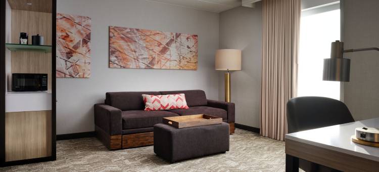 明尼阿波利斯圣保罗机场/美国购物中心SpringHill Suites酒店(SpringHill Suites Minneapolis-St. Paul Airport/Mall of America)图片