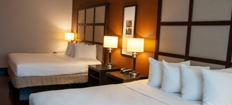 蒙特利尔M青年旅馆(M Montreal Hostel)图片