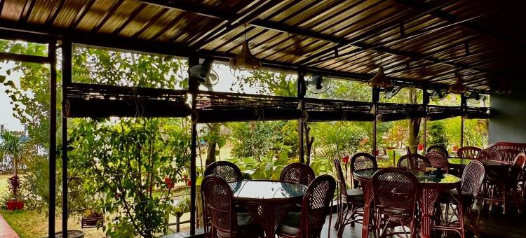 Samskara & Samsara图片