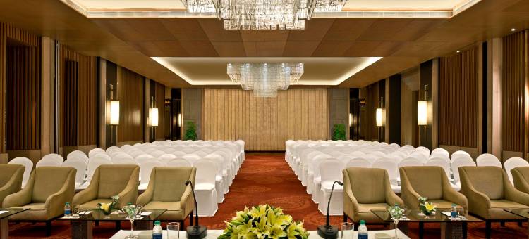 齐普尔丽笙酒店(Radisson Blu Jaipur)图片