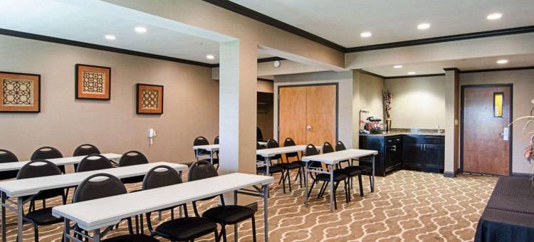 舒适套房酒店(Comfort Suites Conway)图片