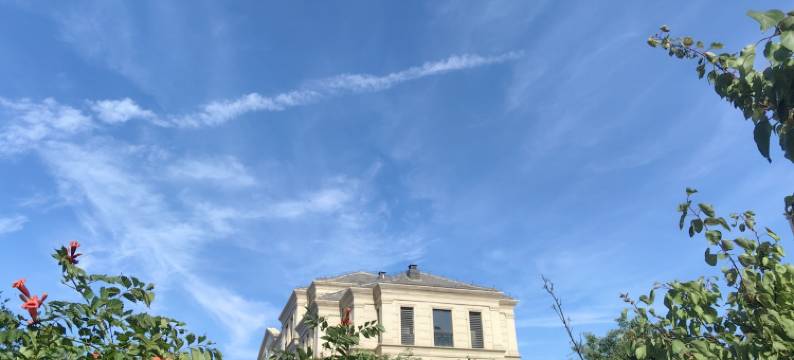 玫瑰小院(扬州东路分店)图片