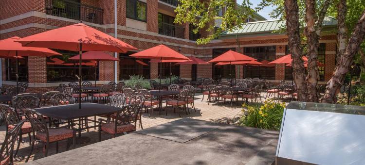 纽瓦克-特拉华大学万怡酒店(Courtyard Newark-University of Delaware)图片